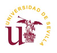 塞维利亚大学
